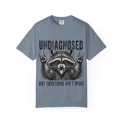 Undiagnosed Raccoon T-Shirt — "But Something Ain't Right" Funny Graphic Tee