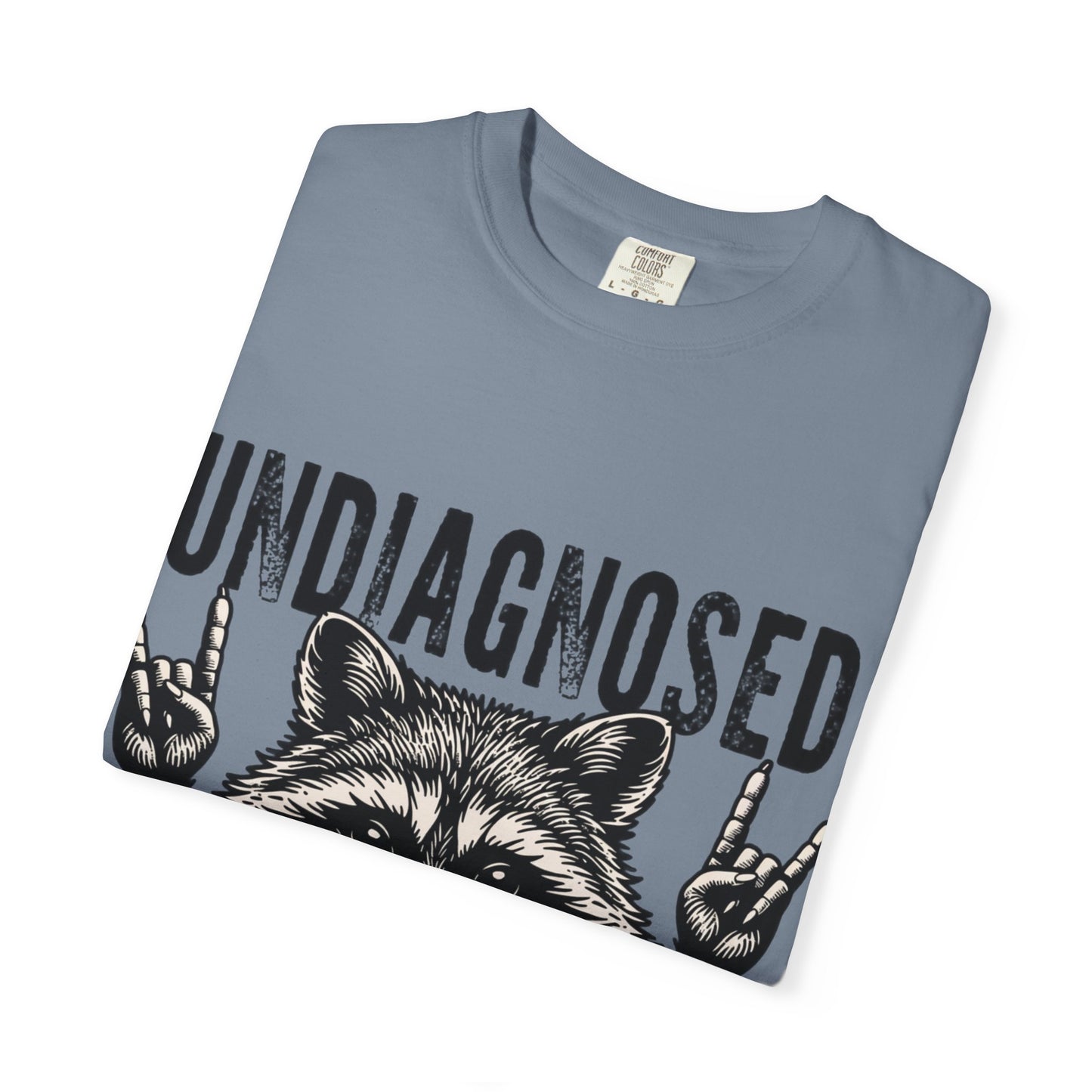 Undiagnosed Raccoon T-Shirt — "But Something Ain't Right" Funny Graphic Tee