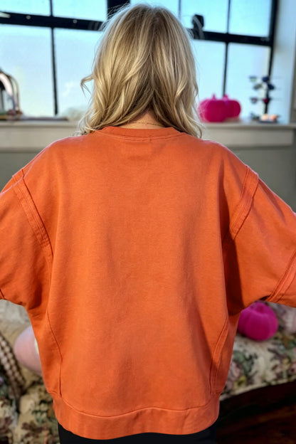 Flamingo Halloween Witchy Plaid Slogan Embroidered Patch Tunic Sweatshirt