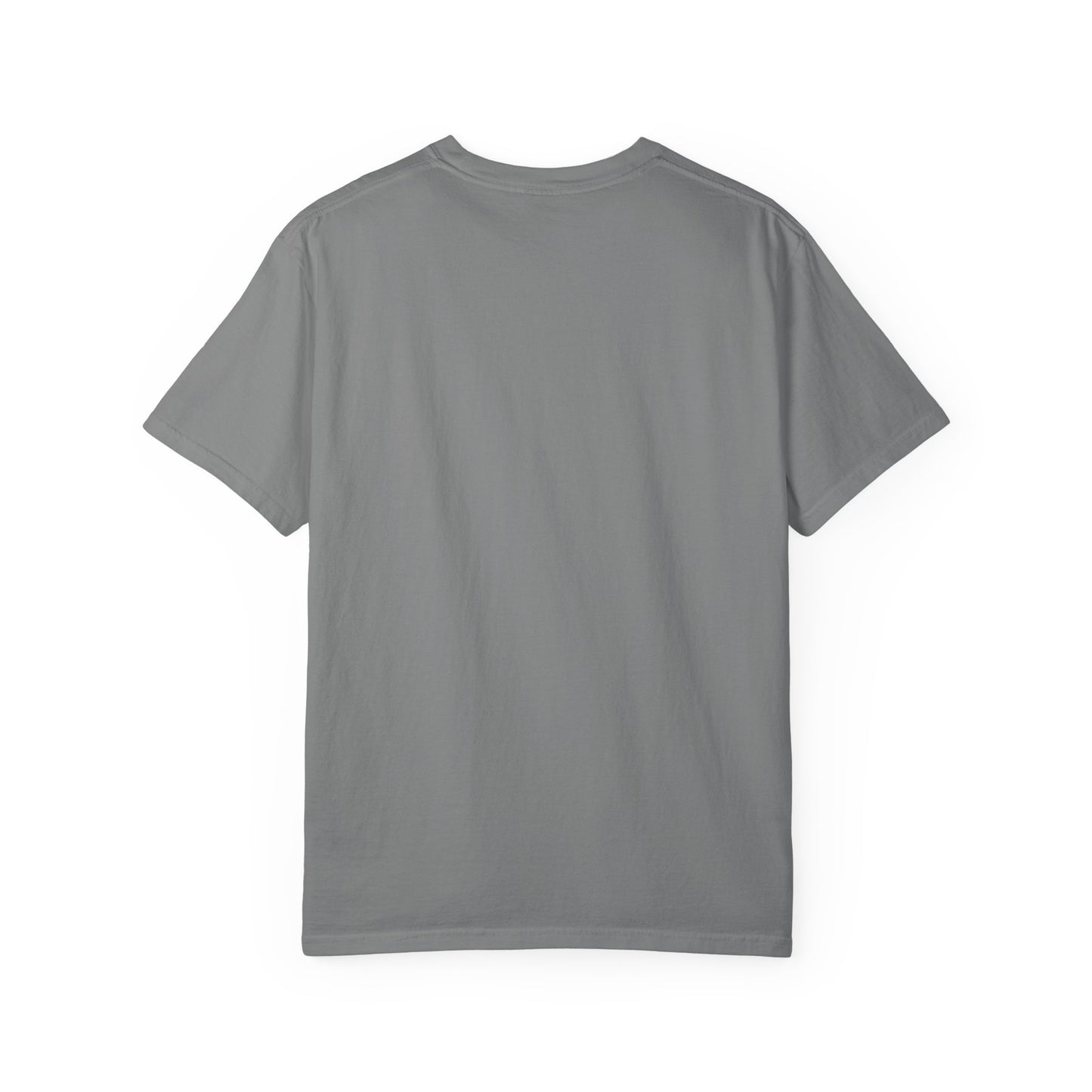 Undiagnosed Raccoon T-Shirt — "But Something Ain't Right" Funny Graphic Tee